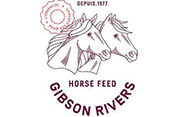 logo GIBSON RIVERS