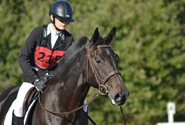 Cours équitation